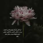دانلود آهنگ حقمه ولی اگه کم نمی یاوردم دیونه بازی در نمی آوردم اترک دانلود آهنگ حقمه ولی اگه کم نمی یاوردم دیونه بازی در نمی آوردم اترک