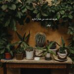 دانلود آهنگ من کوهی از انگیزه بودم واسه نجات دادن تو سینا پارسیان دانلود آهنگ من کوهی از انگیزه بودم واسه نجات دادن تو سینا پارسیان