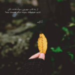 دانلود آهنگ دارم از دست میرم نمیخوای کاری کنی واسه این دیوونه آبرو داری کنی عرشیاس