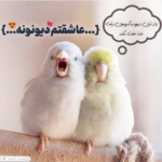 دانلود آهنگ پای ثابت خنده هامی تو دلیل بودن هوامی تو روبه رواله حالم امیر ماهان دانلود آهنگ پای ثابت خنده هامی تو دلیل بودن هوامی تو روبه رواله حالم امیر ماهان