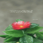 دانلود آهنگ ببین چه برقی داره اون دو تا چشماش شیرینه واسم حرفاش حتی دروغاش مهدی صالحی دانلود آهنگ ببین چه برقی داره اون دو تا چشماش شیرینه واسم حرفاش حتی دروغاش مهدی صالحی