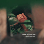 دانلود آهنگ ولی تنگ میشه هی واسه تو شدیدا دلم مثه من رفتارات عجیب و غریبن یه کم امین پاشا دانلود آهنگ ولی تنگ میشه هی واسه تو شدیدا دلم مثه من رفتارات عجیب و غریبن یه کم امین پاشا