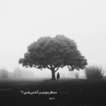 دانلود آهنگ حرف دلمو بگم منو دستپاچه میکنی یکم شیش دنگه میخوام بهت سند دلمو بدم امیر رشوند