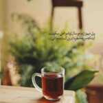 دانلود آهنگ هر جا هر بار رفتی گفتم هی بری و هی بیای یاد تو میفتم نیما نامیا