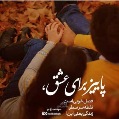 دانلود آهنگ  بی چاره دل که غارت عشقش به باد داد