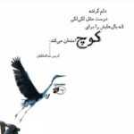 دانلود آهنگ تو آه منی اشتباه منی چگونه هنوز از تو می گویم علیرضا قربانی