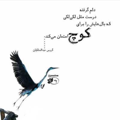 دانلود آهنگ تو آه منی اشتباه منی چگونه هنوز از تو می گویم