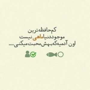 دانلود آهنگ باز آی دلبرا که دلم بی قرار توست علیرضا قربانی
