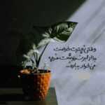 دانلود آهنگ چی شد که دردسر شدی دل تو از دلم برید نموندی پای من یه بار مهراد جم دانلود آهنگ چی شد که دردسر شدی دل تو از دلم برید نموندی پای من یه بار مهراد جم