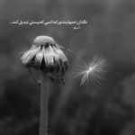 دانلود آهنگ یه چی کم داره شهر بی تو سخته نفس بی تو بفهم منو بفهم سهیل مهرزادگان دانلود آهنگ یه چی کم داره شهر بی تو سخته نفس بی تو بفهم منو بفهم سهیل مهرزادگان