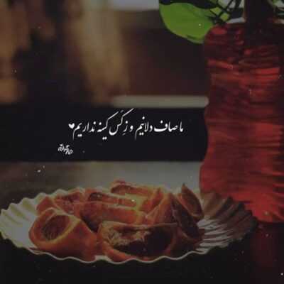 دانلود آهنگ از اون روزی که من تورو دیدم از همه آدمای دورم بریدم مث تو تو این دنیا ندیدم