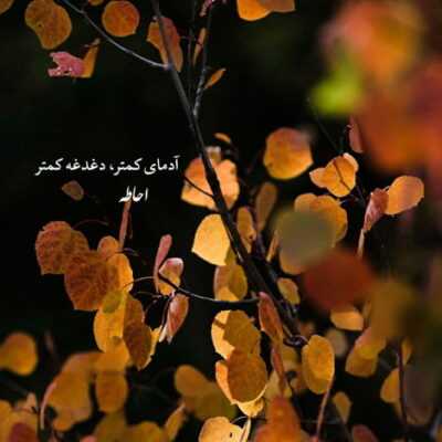 دانلود آهنگ مگه میشه از نگاهت دل برید و خسته شد تو خود عشقی 