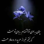 دانلود آهنگ دیدی پاییزو بو نمو حس میکنی خیسی گونمو حس میکنی معین زد