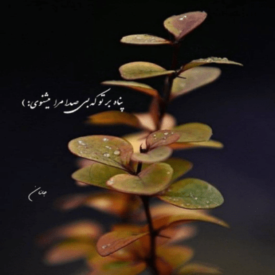 دانلود آهنگ چرا بارون بند نمیاد من دلم آتیشه فندک نمیخوام