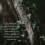 دانلود آهنگ دیوونم و درمانش خودتی دانلود آهنگ دیوونم و درمانش خودتی