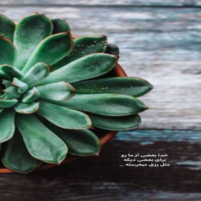 دانلود آهنگ میبینم هنوزم صورتتو خواب