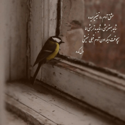 دانلود آهنگ این زمینو میزارم واسه اونا تورو میبرم بالا تا آسمونا