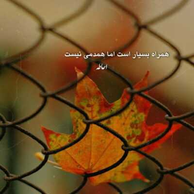 دانلود آهنگ ببین چی میگم بهت نبینم بگیره دلت