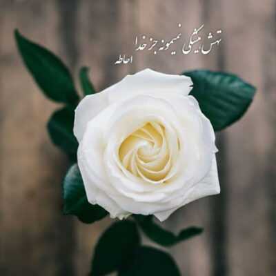 دانلود آهنگ تو دلت میاد نیای مشکلمو حل کنی