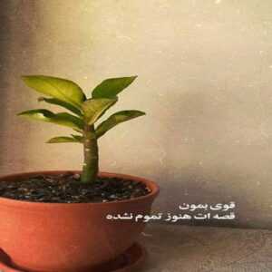  دانلود آهنگ دلم می خواد که برگردی بگی بی تو دیگه طاقت نمیارم محمد لطفی