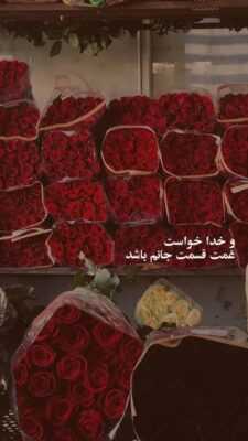 دانلود آهنگ خانه ام آبیست دیوار روبرو تاریک و پشت سرم آبی
