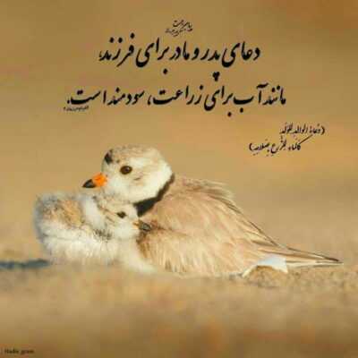 دانلود آهنگ چون من دراین سکوت شب تویی زشب نخفتگان