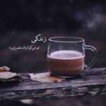 دانلود آهنگ طبیعت سر لج ورداشته با من نمیاد هیشکی حتی حرفاش به کارم