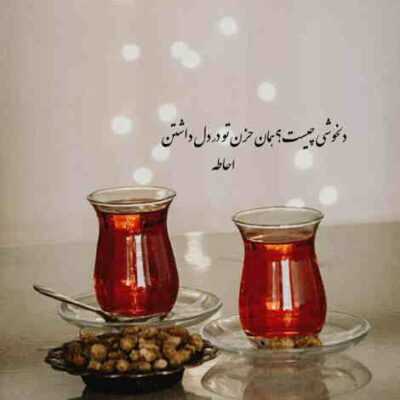 دانلود آهنگ باغ دلمی تو شاه خودمی تو
