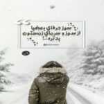 دانلود آهنگ دل میگه فدات شو به دل میگم چشم شایا شروان