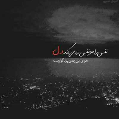 دانلود آهنگ نشکنی ساقه ی گلمو میمیرم اگه بزنی قیدمو