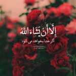 دانلود آهنگ تو هم دلت تنگه میدونم دیگه بس کن و بیا ایلیا اسدی
