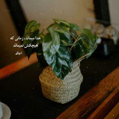 دانلود آهنگ ديوانه ام من تا كه فهميدی دلت رفت