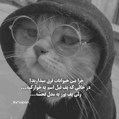 دانلود آهنگ نه اینجوری نمیشه دلم تنگه همیشه