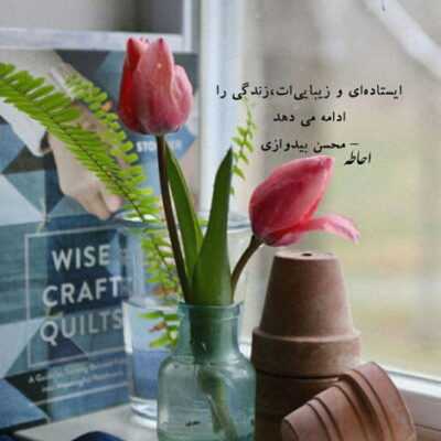 دانلود آهنگ غمگین شدی قبول تنها شدی درست