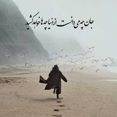 دانلود آهنگ بردی عقل از سر من میدونی بی راه نی