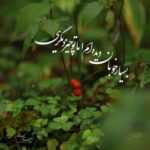 دانلود آهنگ بگو هنوز حسی داری بهم توی دلت ارژنگ آریا دانلود آهنگ بگو هنوز حسی داری بهم توی دلت ارژنگ آریا