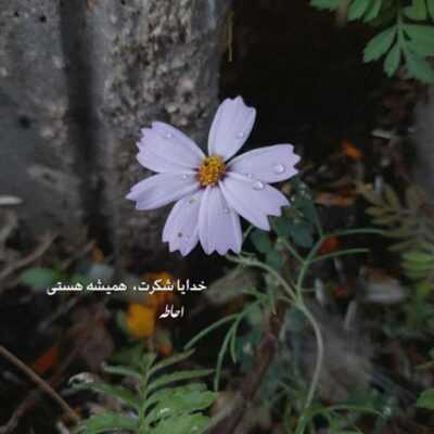 دانلود آهنگ بخند که خنده هاتو عشقه