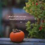 دانلود آهنگ نه دیگه بی تو هیچ جایی نمیتونم برم امین پرور دانلود آهنگ نه دیگه بی تو هیچ جایی نمیتونم برم امین پرور