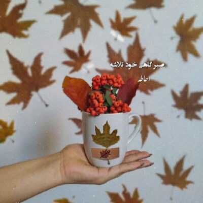 دانلود آهنگ دچارمو چاره تویی  بیچاره میشم بعد تو
