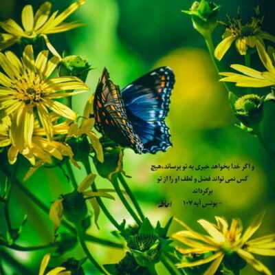 دانلود آهنگ نفسه من نفسات  واسه من دیگه ممنوعه 