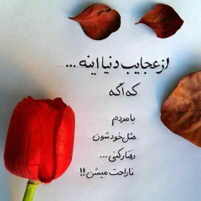 دانلود آهنگ شبو روزتو آتیش میزنه  دیدن عکساش