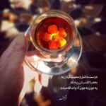 دانلود آهنگ همه فهمیدن جایی که آرومم زیر نم نمه بارونه فرشید ادهمی دانلود آهنگ همه فهمیدن جایی که آرومم زیر نم نمه بارونه فرشید ادهمی