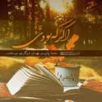 دانلود آهنگ میدانی عاشق خلوت پنهانی ای کاش در آغوش تو باشم زندانی حامد اسکندری