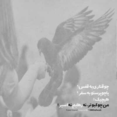 دانلود آهنگ  نم نمک یه روزی دیدم میزنه دلم واسه یه نفر به خودم تا که اومدم 