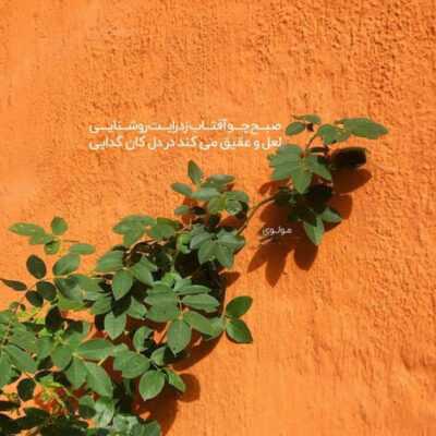 دانلود آهنگ  تا ميپرسن دنيام شك ندارم كه تويي ديگه امروز فردا ميگيريم دسته همو