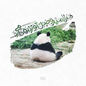 دانلود آهنگ معرفتت گیر منفعتت بود بودی و باز فکر رفتن تو سرت بود زانیار