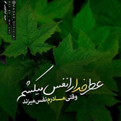 دانلود آهنگ شدم عاشقت ای یار تو فقط لب تر کنی من میمیرم روزی صد بار