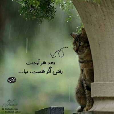دانلود آهنگ قبوله ایندفعه میرم خودم یه جوری رد کارم واست میدونم اینو من