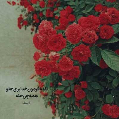 دانلود آهنگ هر جا بری هستم پات از این کارات دست بردار 