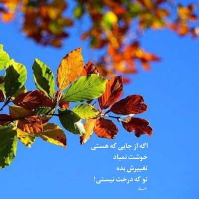 دانلود آهنگ نم نم بارون میزنه به کوچه و خیابون
